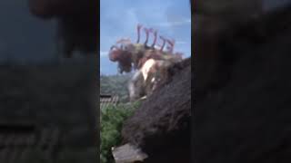 Zoffy burning head 🔥