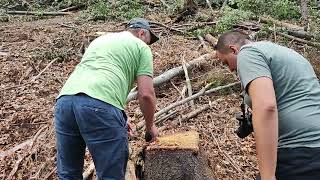 Masacrul din Parcul Național Domogled continuă