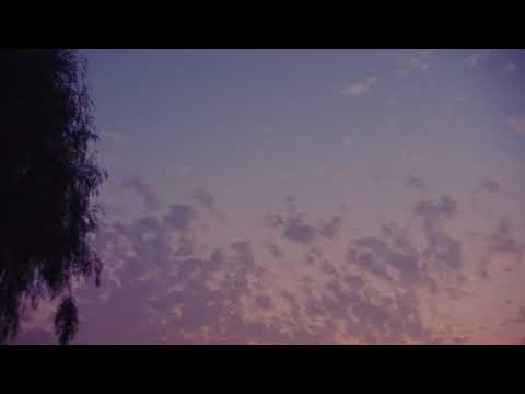 Video thumbnail for Cabin Fever from The Hill