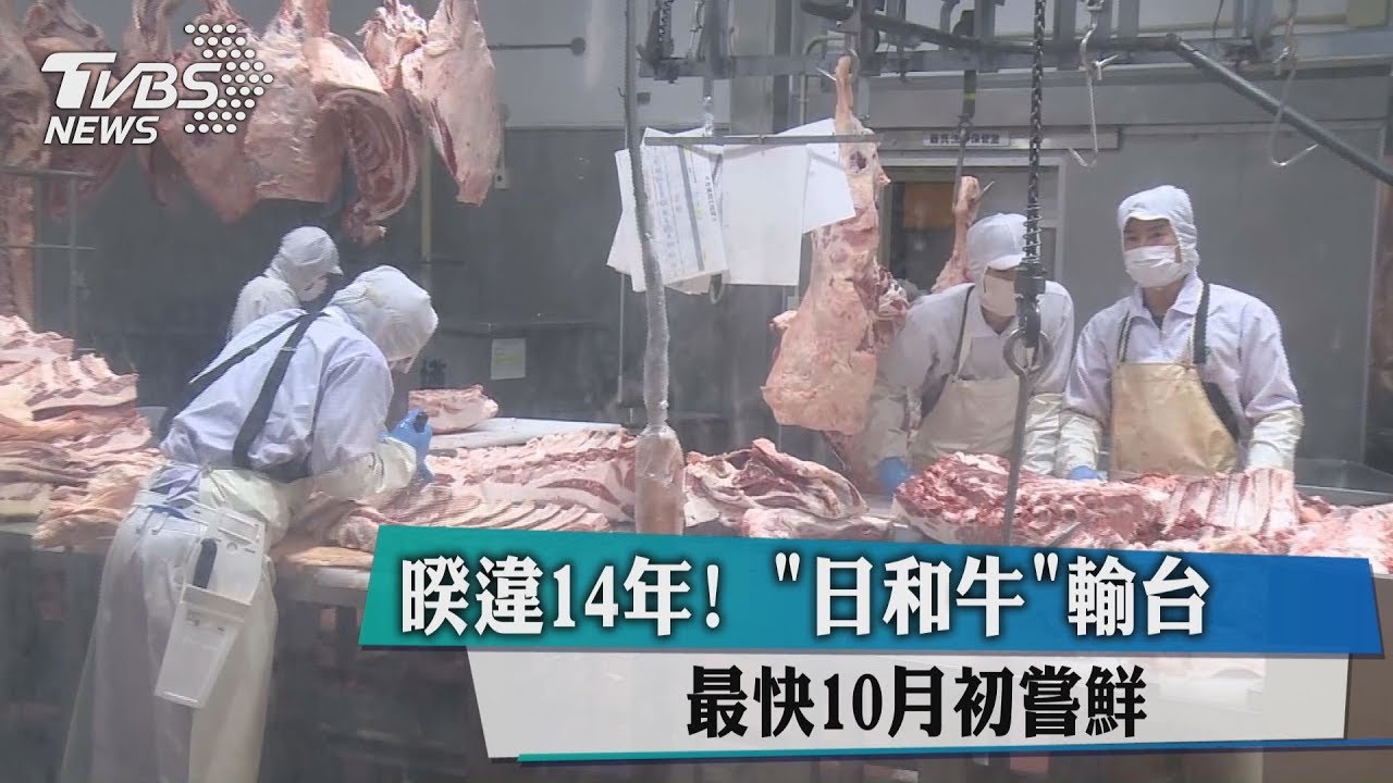飯店搶頭香!全台第一批日本和牛 13種料理開吃