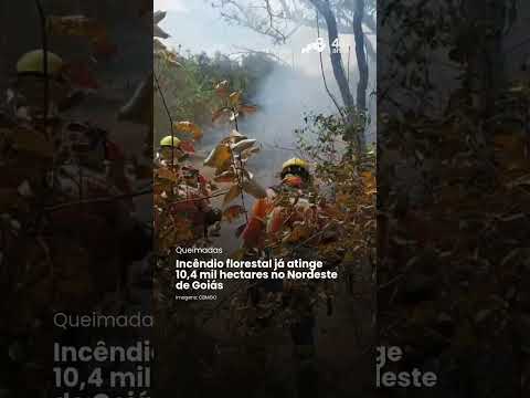 ncêndio florestal já atinge 10,4 mil hectares no Nordeste de Goiás