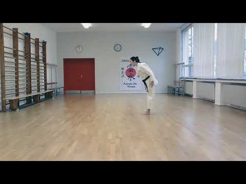 Goju-Ryu Kata - Taikyoku Mawashi-Uke 太極