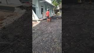 Download lagu jngan berharap untuk di beri tapi berusaha lah dengan ikhlas hati mp3 Download lagu jngan berharap untuk di beri tapi berusaha lah dengan ikhlas hati mp3