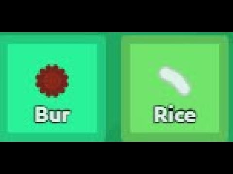 florr io Gameplay Introduction