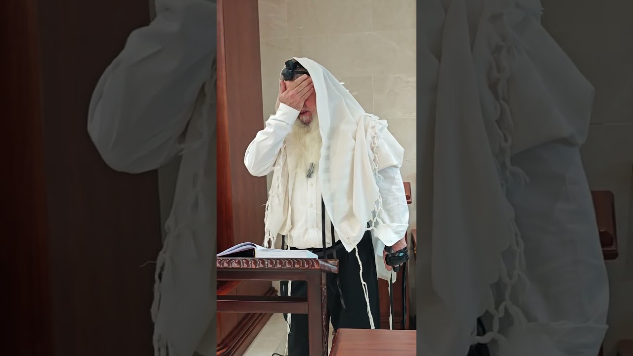 מה בודקים בבדיקת חמץ?