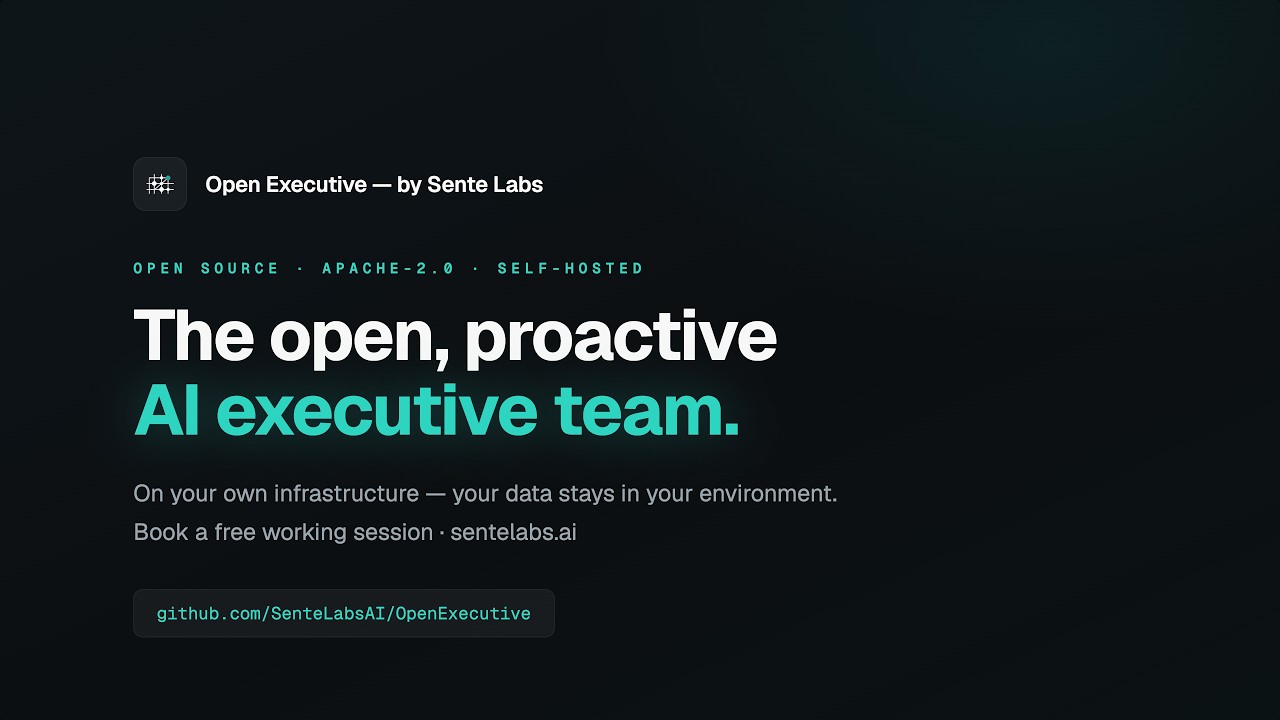 Open Executive demo video