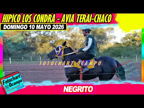 NEGRITO Avia Terai CH 10 05 2026