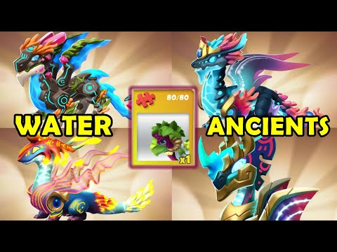 REVELRY DRAGON UNLOCKED! New WATER ANCIENTS REVEALED, Weekly Schedule + QUICK Hatching! - DML #1365