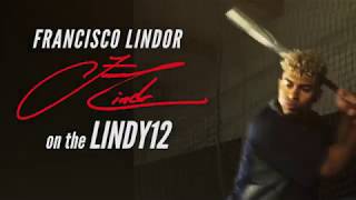 Francisco Lindor's Marucci Pro Model Wood Bat | JustBats.com