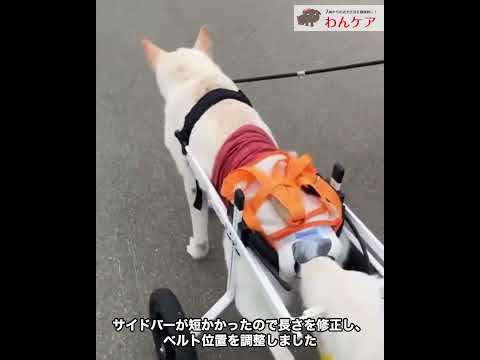 アトゥイちゃん