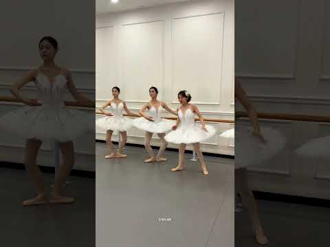 She Came to learn Belly dance!😂 #shortsvideo