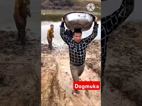 Dogmuka 3 funny video#funnyvideo #shortvideo #youtubeshorts #ytshorts #funny#video