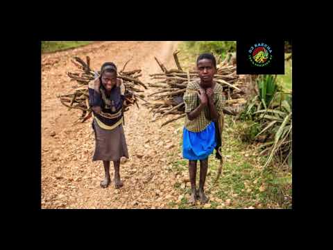 KIBARA KIAMPO - KARIAINTO