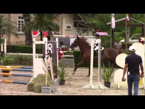 14/12/2019 - 8VA ETAPA FCH - DARTAGNAN