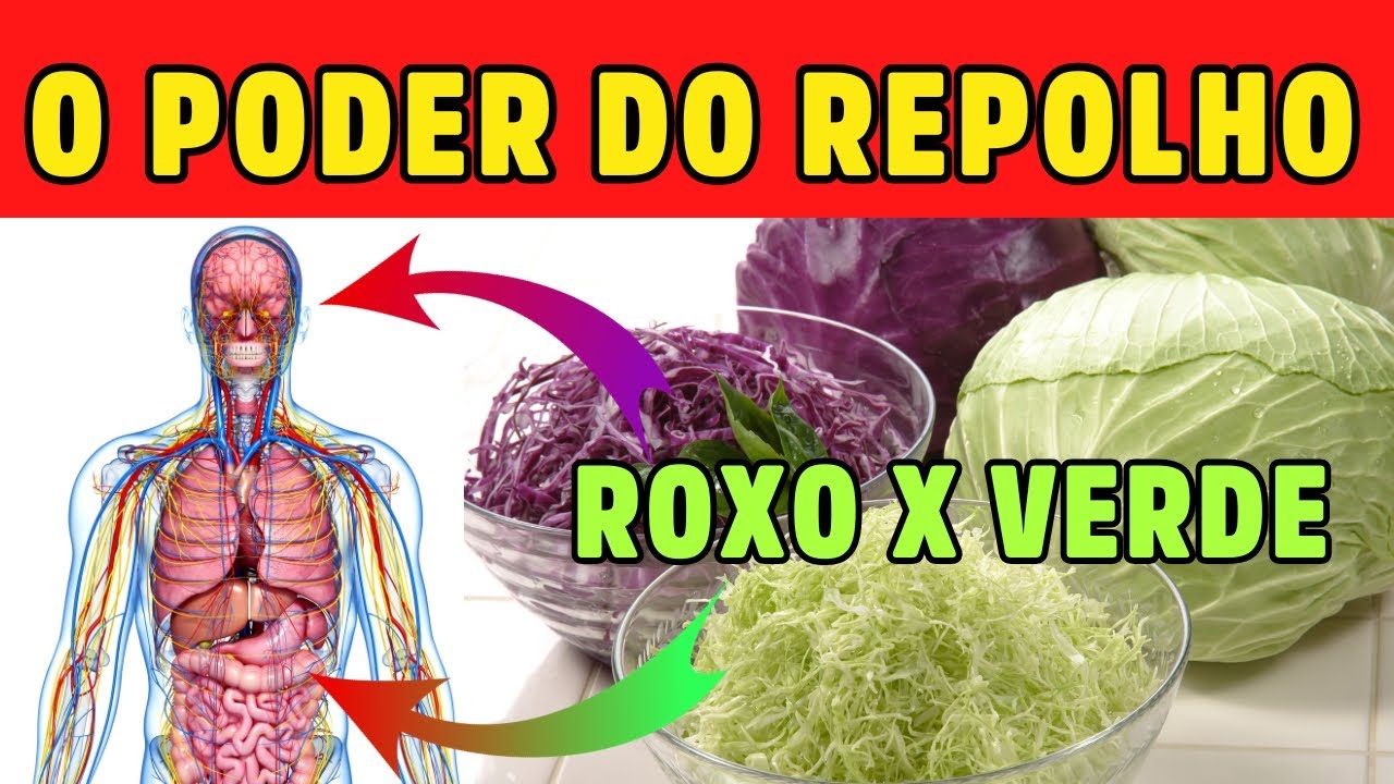 BENEFÍCIOS DO REPOLHO ROXO vs VERDE: DESCUBRA QUAL É O REI DA NUTRIÇÃO! Dr Alain Dutra