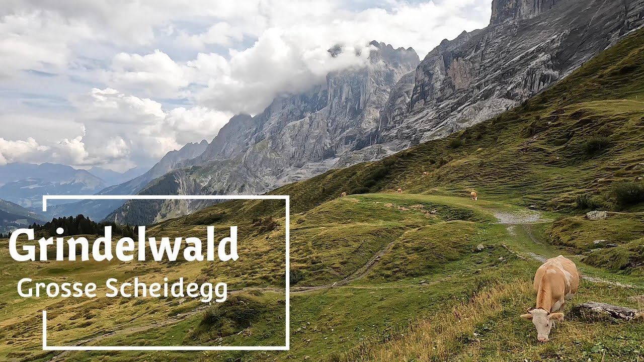 Embark on an immersive virtual exploration of the Grosse Scheidegg region.