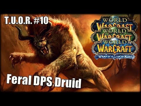 The Underdogs of Raiding #10 - Feral DPS Druid feat. ShedotheDruid