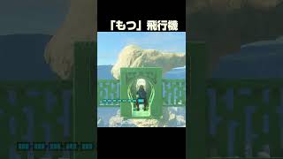「持つ」飛行機 【ゼルダの伝説 ティアーズオブザキングダム】