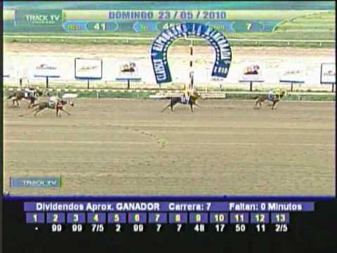 Resumen domingo 23 de mayo 2010 - La Rinconada
