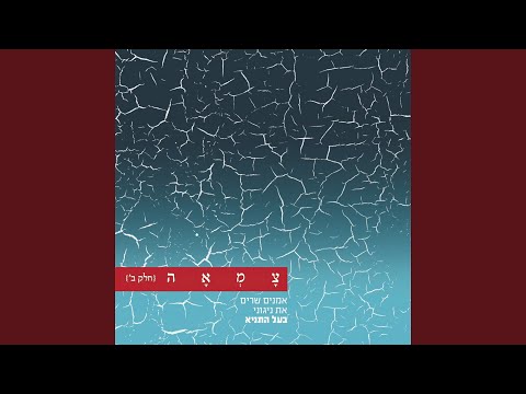 Video thumbnail for Avinu Malkeinu - אבינו מלכינו