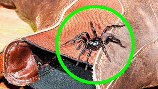 If You See This, It&#39;s Too Late to Call for Help