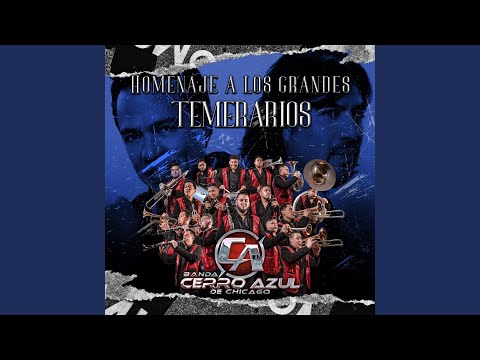 Homenaje A Los Grandes Temerarios