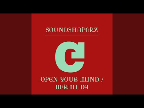 Open Your Mind (Original Mix)