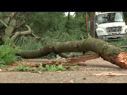 NJ Storm Damage