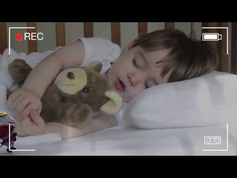 El Ratón Pérez en Acción: Video Exclusivo Recogiendo Diente en la Habitación | Ilusiono