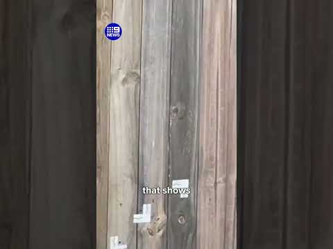 Drive-by shooting south of Brisbane | 9 News Australia