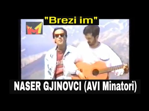 AVI Minatori & Naser Gjinovci - Brrezi im