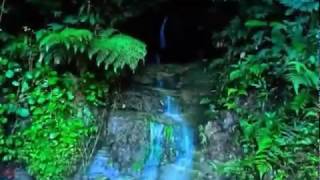 Download lagu Status wa pemandangan jawa barat. Sangat indah mp3