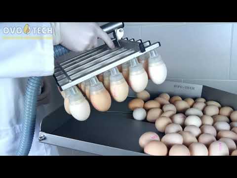VEL-30 vacuum egg lifter - Video Demo 13