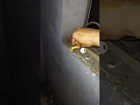 TIKUS TANAH - SUIT TOR 1 BOX 20 BIJI