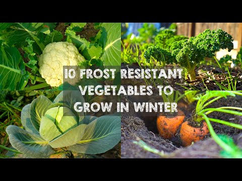 , title : '10 Frost Resistant Vegetables to Grow in Winter'