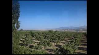 酒と薔薇の日々（Days of Wine and Roses)     /    Julie London 　by nasanahc