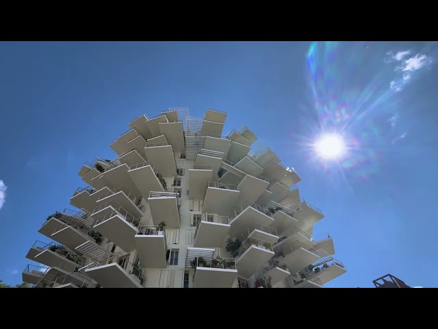 Montpellier en image | Ymmersion B1 Audiovisuel 2023-2024