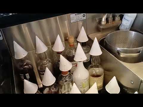 Fruit Flies is the New Drink Garnish in Long Branch, NJ