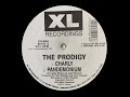 Pandemonium - The Prodigy (1991) Breakbeat Hardcore