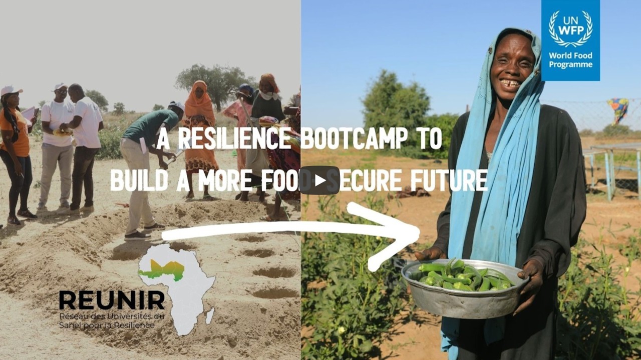 Renforcer la Résilience au Tchad : Au cœur du Bootcamp REUNIR pour un Avenir sans Faim