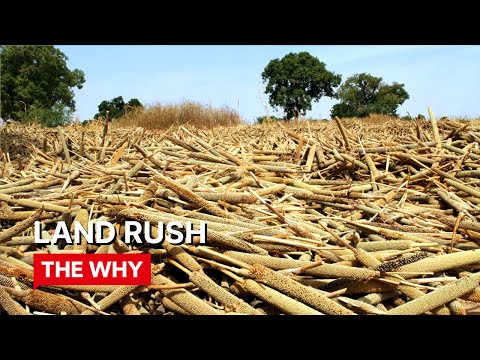 Land Rush