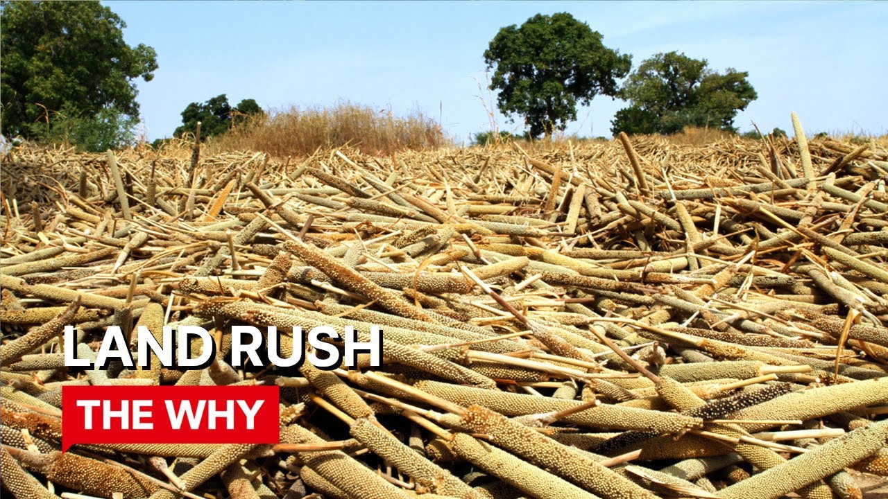 Land Rush