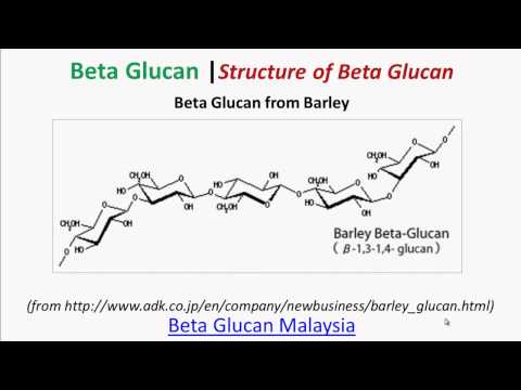 Beta Glucan | Beta Glucan Structure Overview By Beta Glucan Malaysia