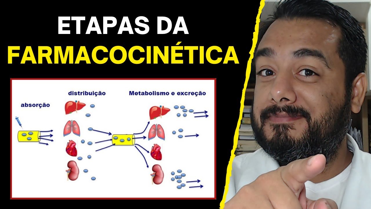 Etapas da Farmacocinética: Absorção, Distribuição, Biotransformação (Metabolização) e Excreção