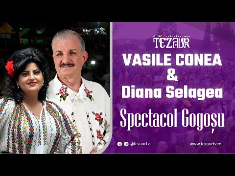 Vasile Conea & Diana Selagea - Colaj muzică populară din Banat || Colaj Spectacol Live Gogoșu