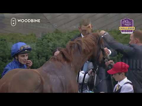 Woodbine, Tbred, September 17, 2022 Race 9