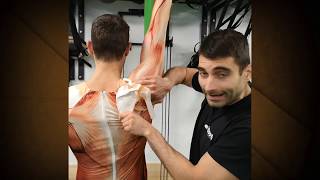 🎥 Elimina el dolor de hombro y trapecio - Roots videotips  ✅