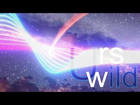 Urs Wild - VISIONS