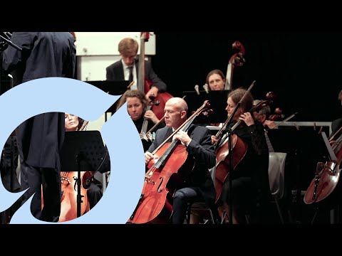 Emīls Dārziņš: Valse melancolique | Sinfonieorchester Lienz