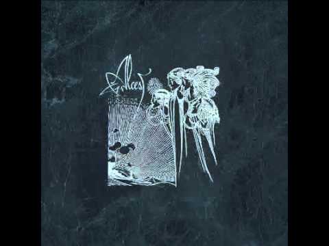 Les Discrets - Après l'ombre